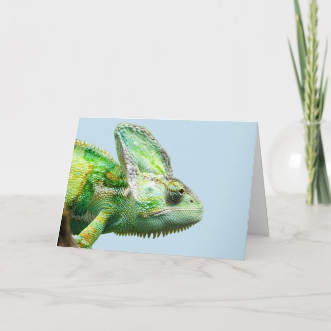 CARTÃO IGUANA BIRTHDAY CARDS (Frente)