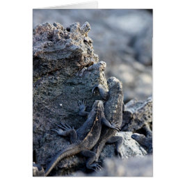 Cartão Iguana Esteja Com Você