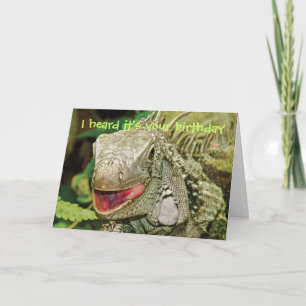 Cartão Iguana funny birthday