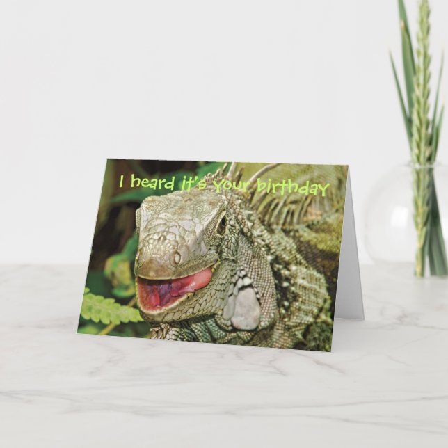 Cartão Iguana funny birthday (Frente)