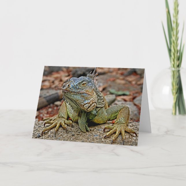 Cartão Iguana Greeting Card (Frente)