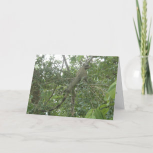Cartão iguana greeting card (slimming version)
