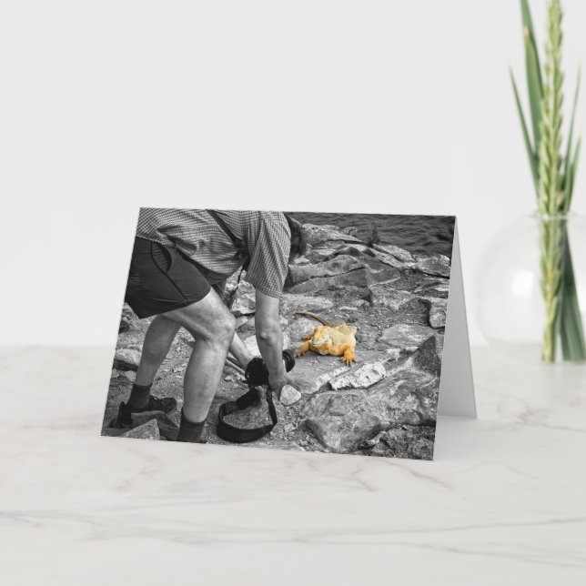 Cartão Iguana Paparazzi Birthday Card (Frente)