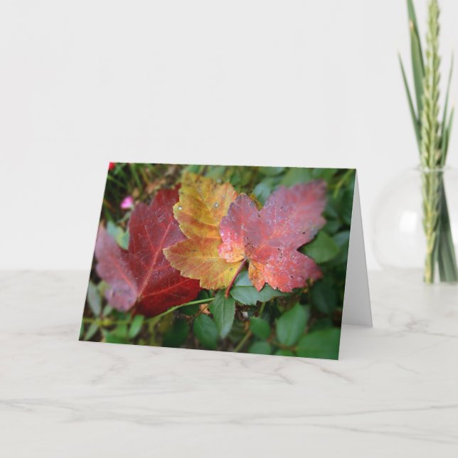 Cartão III leaves (Frente)