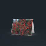 Cartão Ilex verticillata, winterberry<br><div class="desc">New England Wild Flower Society
 newenglandwild.org</div>