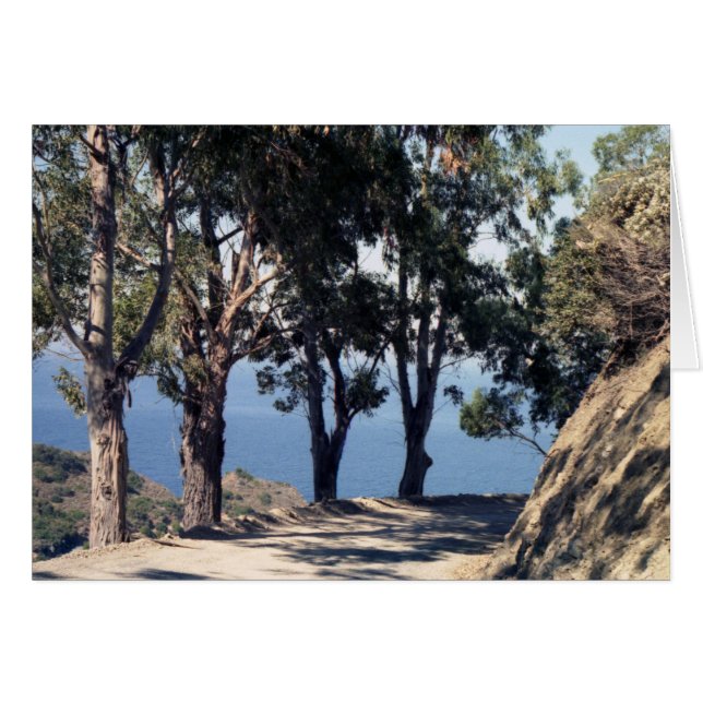 Cartão Ilha Catalina (Frente Horizontal)