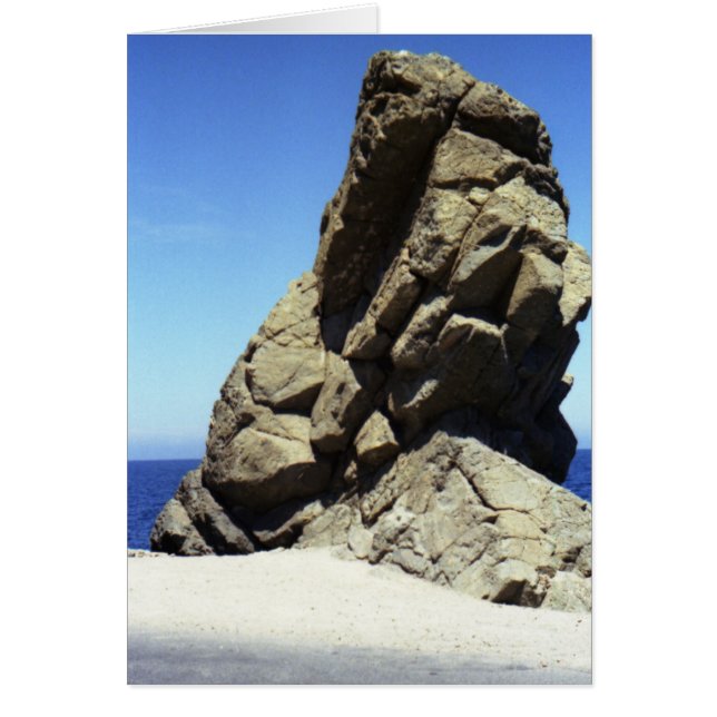 Cartão Ilha Catalina papais noeis (Frente)