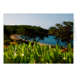 Cartão Ilha de Lanai em Havaí