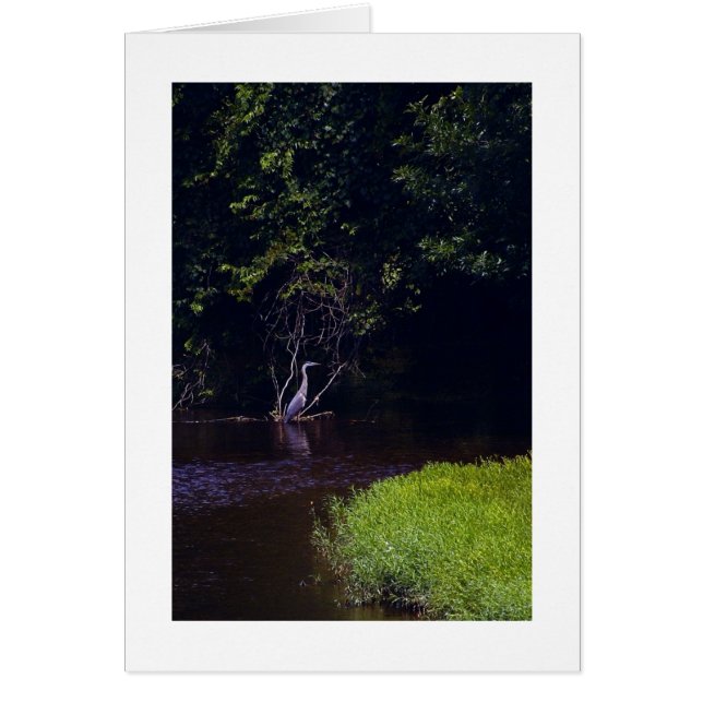 Cartão Ilha de Percival, Lynchburg Virginia (Frente)