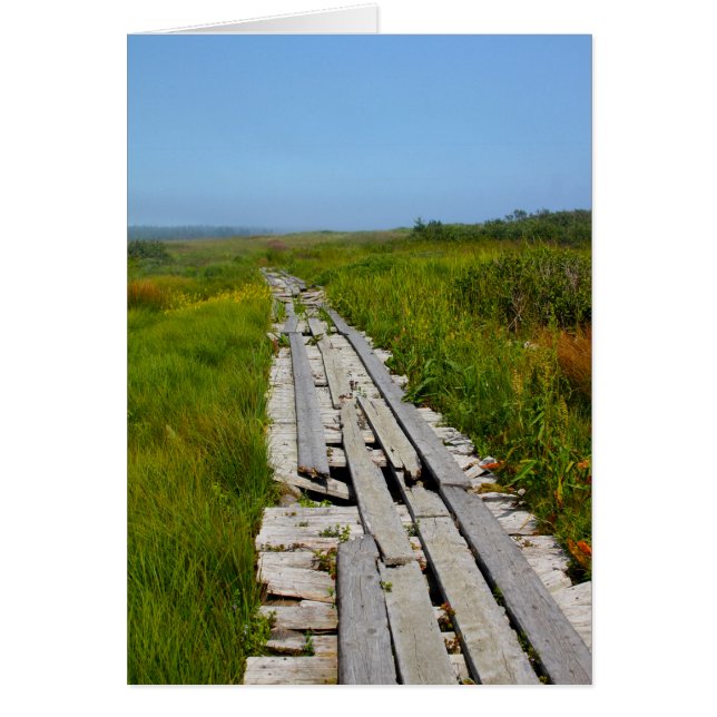 Cartão Ilha Whitehead, NB (Frente)