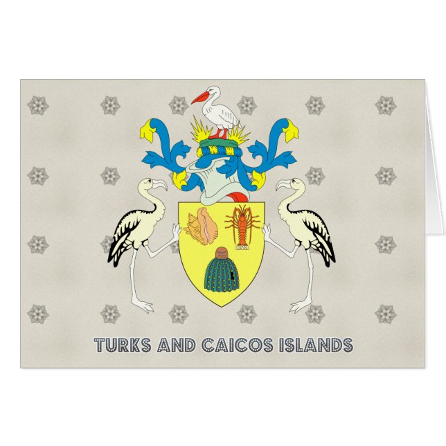 Cartão Ilhas Turks e Caicos casaco de armas (Frente Horizontal)