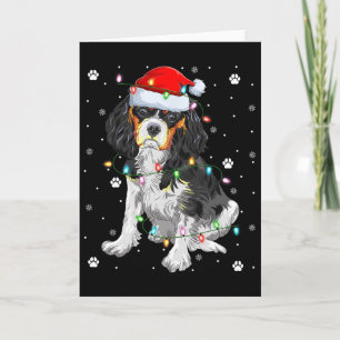 Cartão Iluminação de Natal Santa Cavalier King Charles Sp