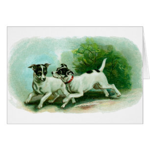 Cartão Ilustração antiga do Fox Terrier