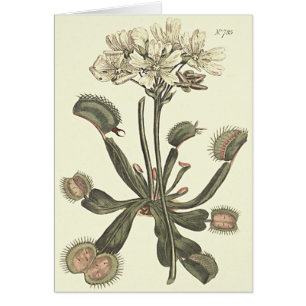 Cartão Ilustração Botânica de Flytrapping Venus