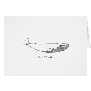 Cartão Ilustração da baleia azul (linha arte)