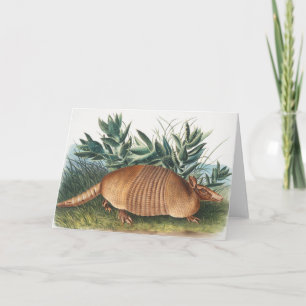 Cartão Ilustração de Armadillo (Dasypus Peba) com nove fa