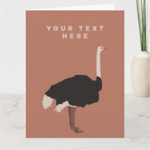 Ilustração de aves de avestruz