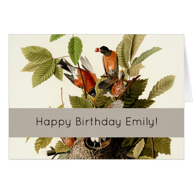 Cartão Ilustração de Pássaros Robin Wildlife da América d (Frente Horizontal)