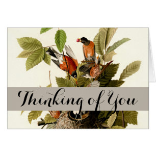 Cartão Ilustração de Pássaros Robin Wildlife da América d