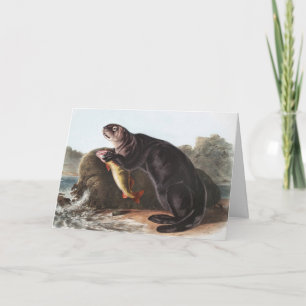 Cartão Ilustração de Sea Otter (Enhydra marina)