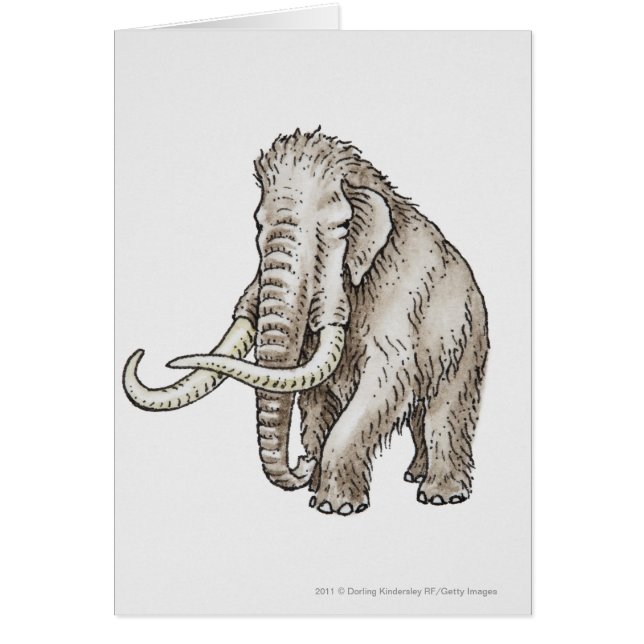 Cartão Ilustração de um mammoth (Frente)