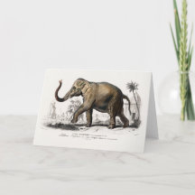 Ilustração do Elefante Asiático Vintage 1892