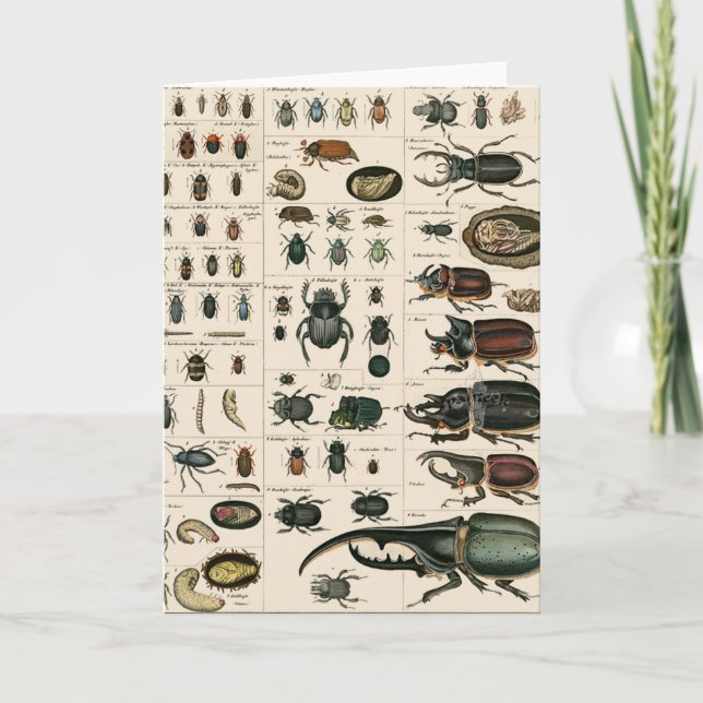 Cartão Ilustração do Fusca Vintage (Frente)