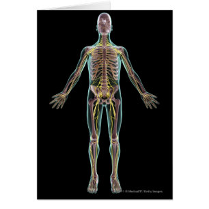 Cartão Ilustração do sistema nervoso