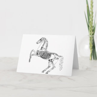 Cartão Ilustração Esqueleto de Cavalo Vitoriano