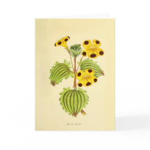 Ilustração Floral Amarela e Vermelha Vintage