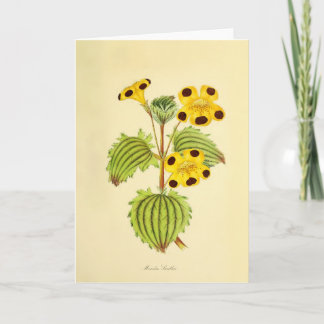 Cartão Ilustração Floral Amarela e Vermelha Vintage