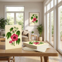 Ilustração Floral Vermelha e Rosa Vintage