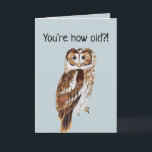 Cartão Ilustração Funny Owl Personalizada Aniversário<br><div class="desc">Cartão de aniversário personalizado,  ilustração de coruja,  bonito e engraçado.</div>