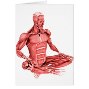 Cartão Ilustração médica do assento masculino dos