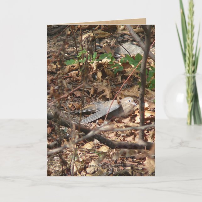 Cartão I'm a Leaf, Really (Frente)