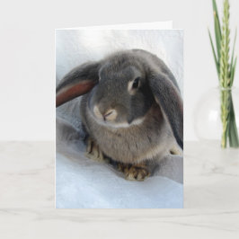 Cartão I'm All Ears For You