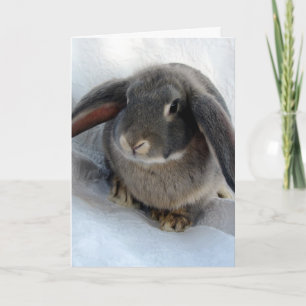 Cartão I'm All Ears For You