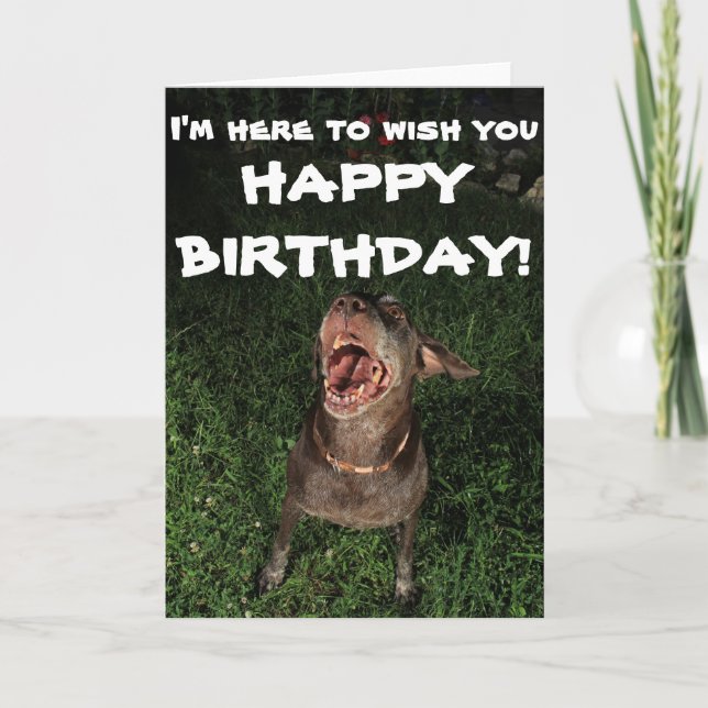 Cartão I'm Here To Wish You HAPPY BIRTHDAY Greeting card (Frente)