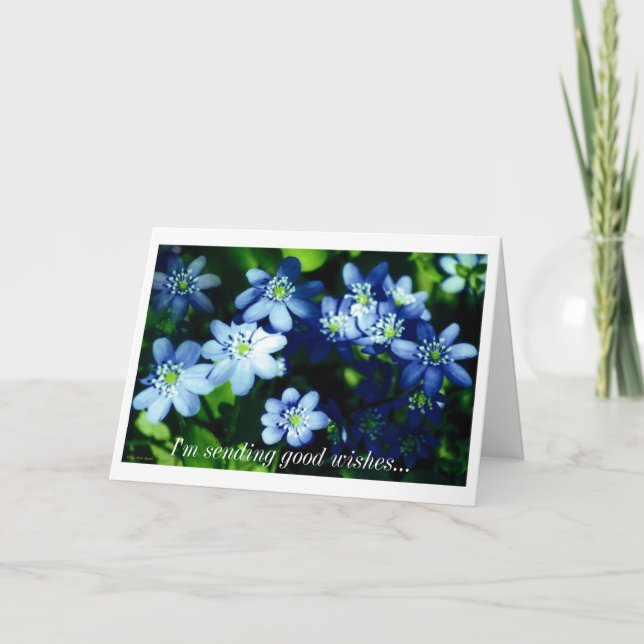 Cartão I'm sending good wishes (Frente)