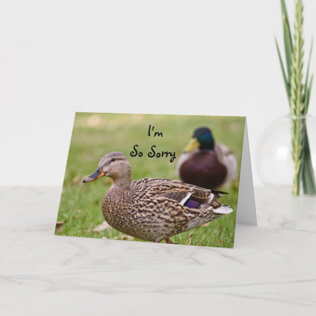 Cartão I'm So Sorry Duck Card (Frente)