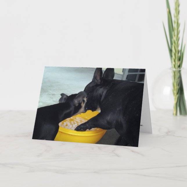 Cartão I'm Sorry (Frente)