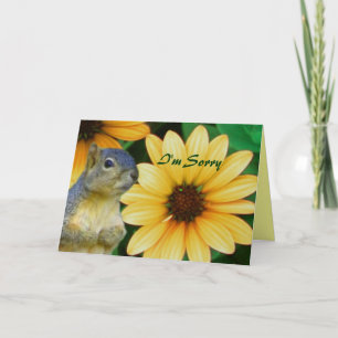 Cartão I'm Sorry/Any Occasion_ Card