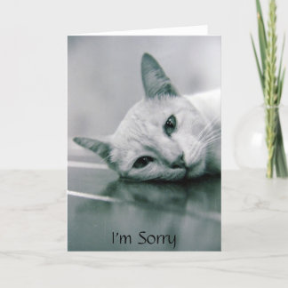 Cartão I'm Sorry cat card