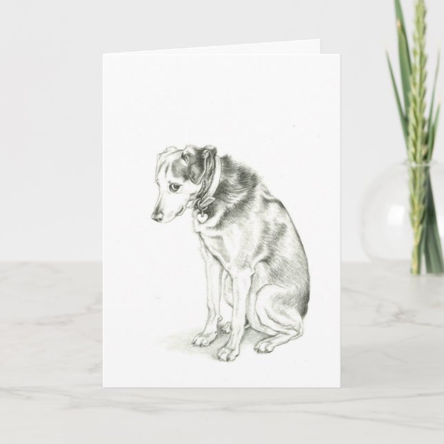 Cartão "I'm Sorry" Dixie card (Frente)