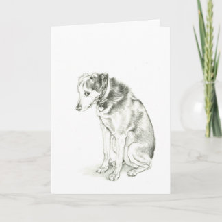 Cartão "I'm Sorry" Dixie card