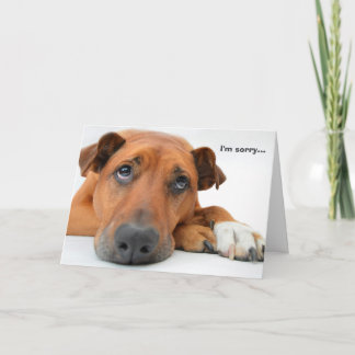 Cartão I'm Sorry Dog Card
