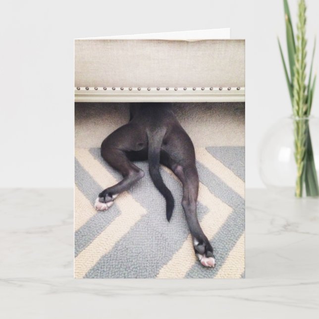 Cartão I'm sorry greeting card (Frente)