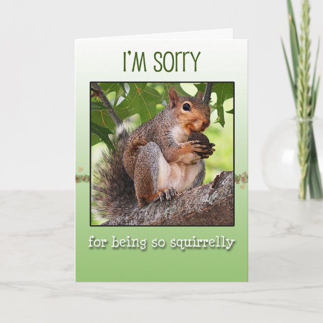 Cartão I'm sorry greeting card with squirrel (Frente)