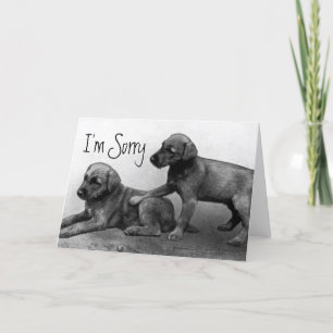 Cartão I'm Sorry - Puppy Friends