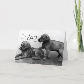 Cartão I'm Sorry - Puppy Friends